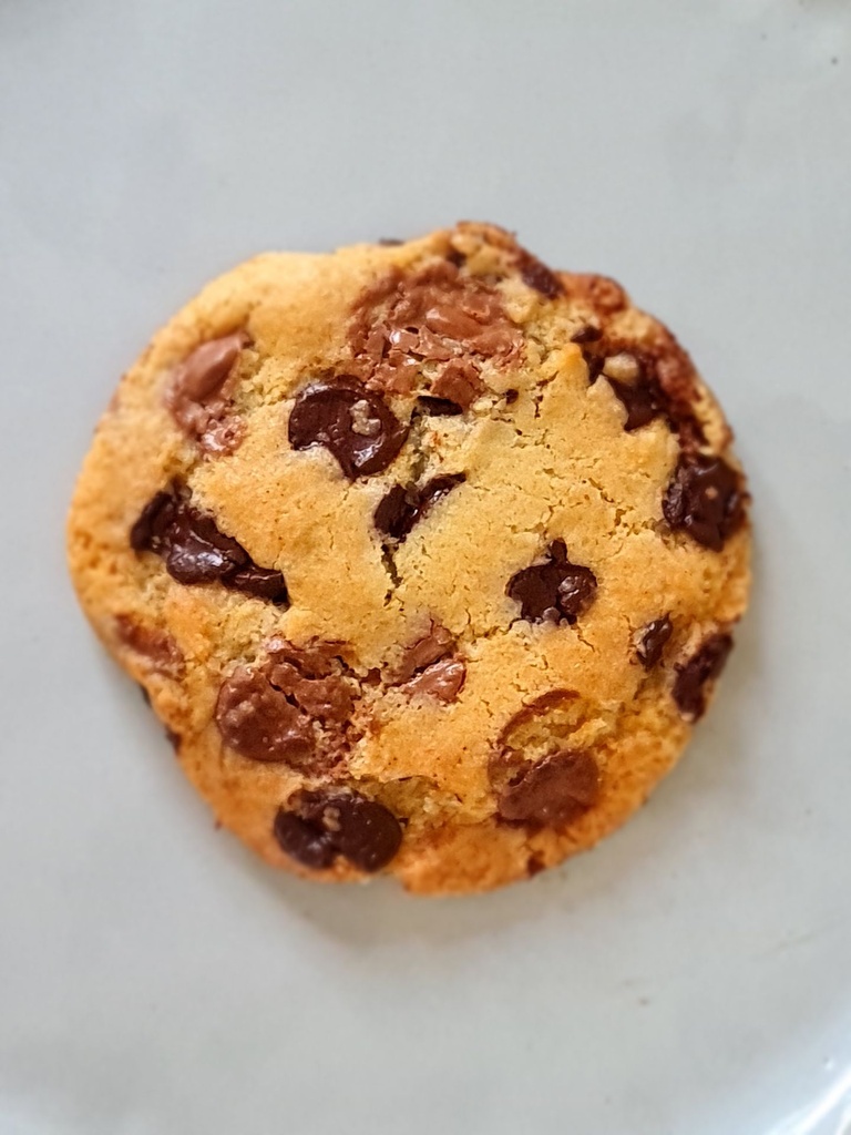 Sourdough Choc Chip Cookie