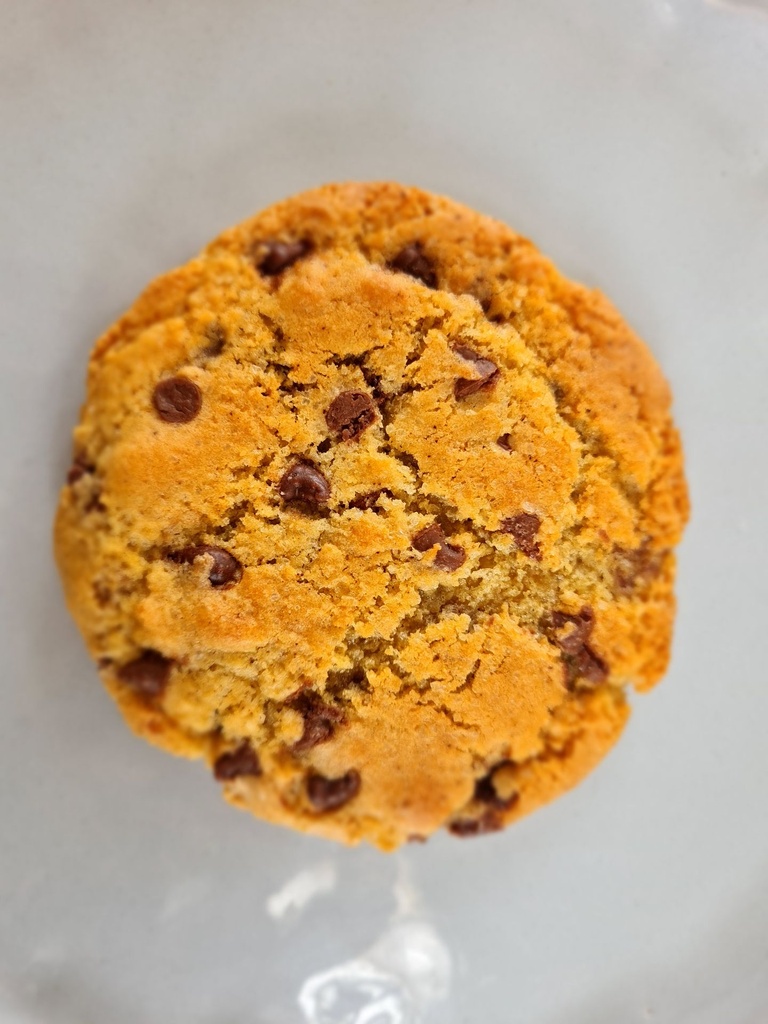 Sourdough Choc Chip